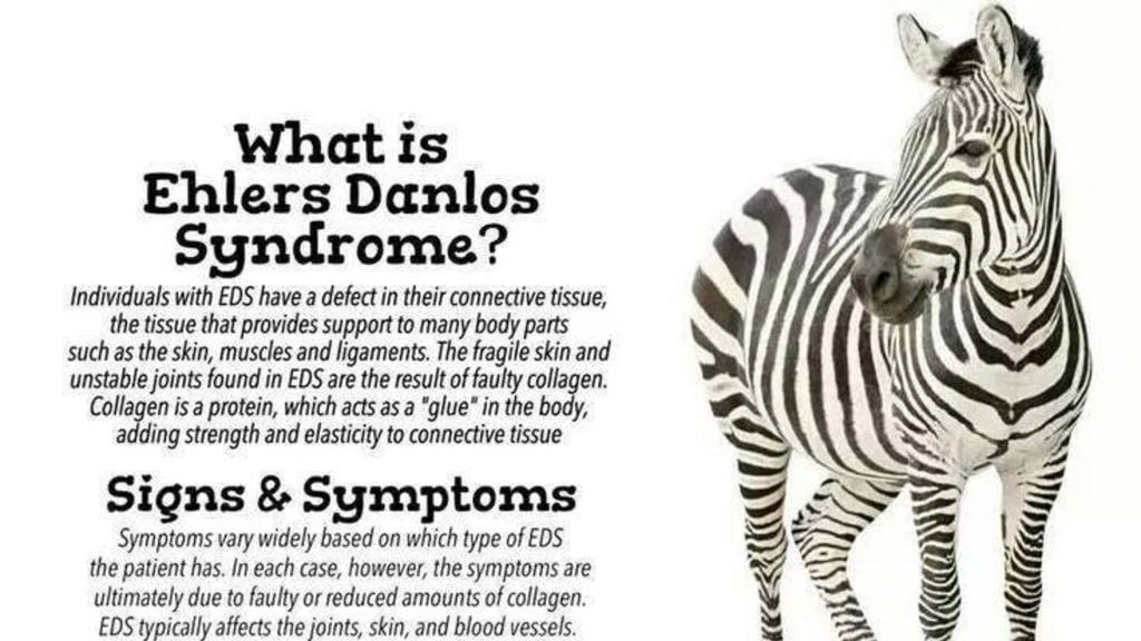 Petition · Make Ehlers Danlos syndrome a registered disability United