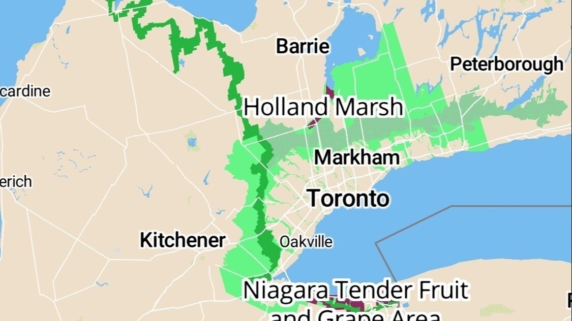 Petition · Demand Doug Ford's Resignation for Corrupt Greenbelt Land Sale! Canada ·