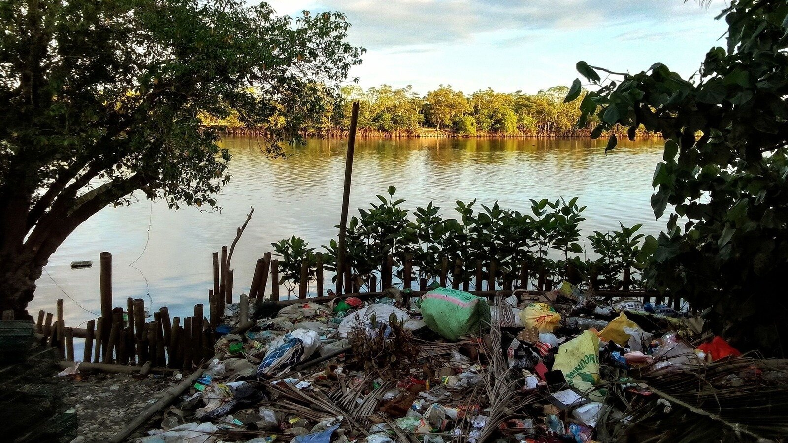 Petition · The Coast Cannot Carry Barangay Baruyan’s Waste ...