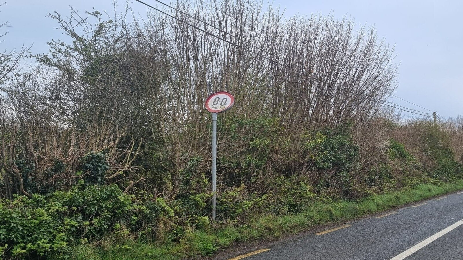 Petition · Safe Passage from Athenry Road to Craughwell Village ...