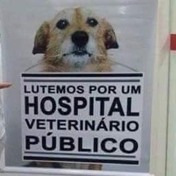 Petition update · HOSPITAL VETERINARIO PUBLICO · Change.org