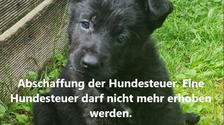Petition · Die Hundesteuer ist abzuschaffen. Das heißt, eine Hundesteuer darf nicht erhoben