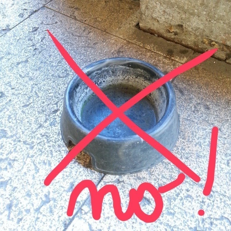Petition Update Traduzione In Inglese To Eliminate Hazardous And Unattended Bowls For Dogs Placed In Warm Periods Change Org