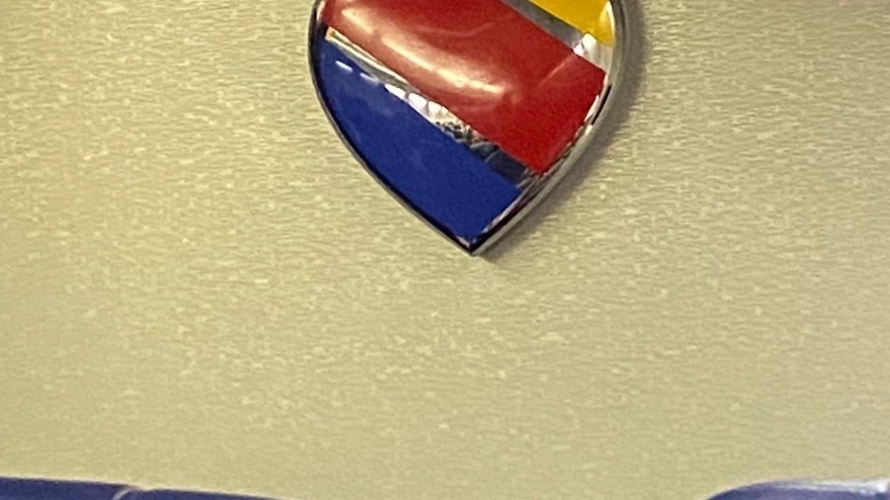 Petition · Southwest Allow Wheelchair Disabled to Board First United