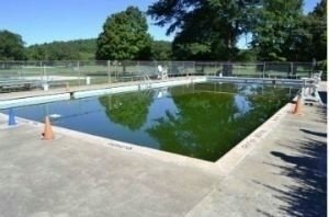 Patton Pool Petition · Community Support for Patton Park Pool - United States ...