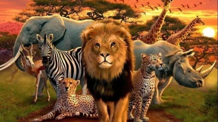 Petition · Stop adopting wild animals - Philippines · Change.org