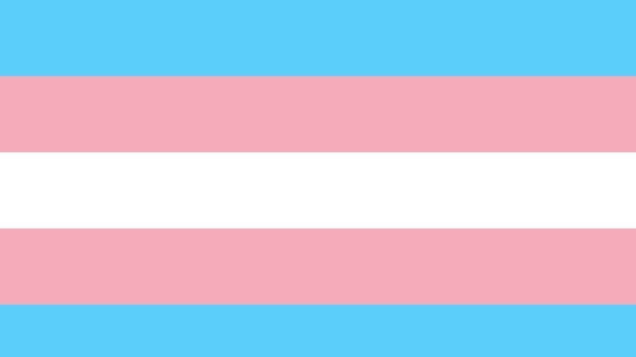 Petition · Allow legal gender recognition without invasive surgery