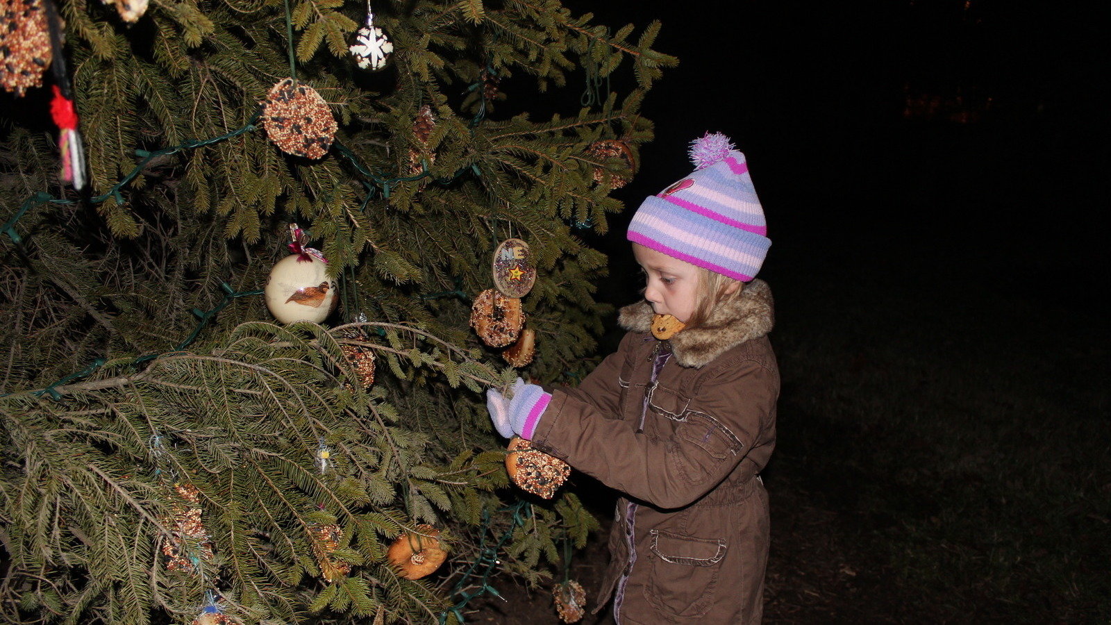 Petition · Keep the community Christmas Tree in the downtown area of