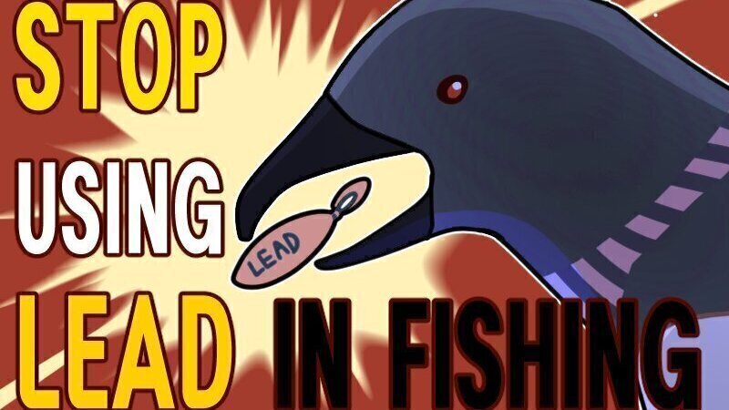Petition · Ban Lead Fishing in California ·