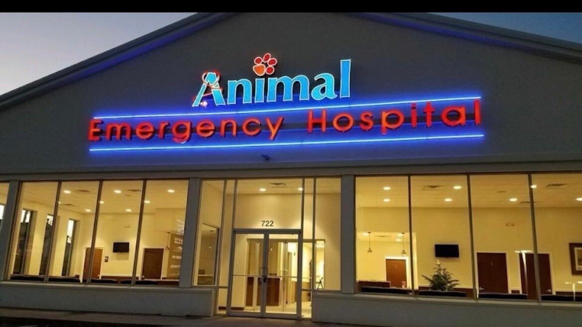 Petition · Shut down Animal Emergency Hospital Bel Air United States