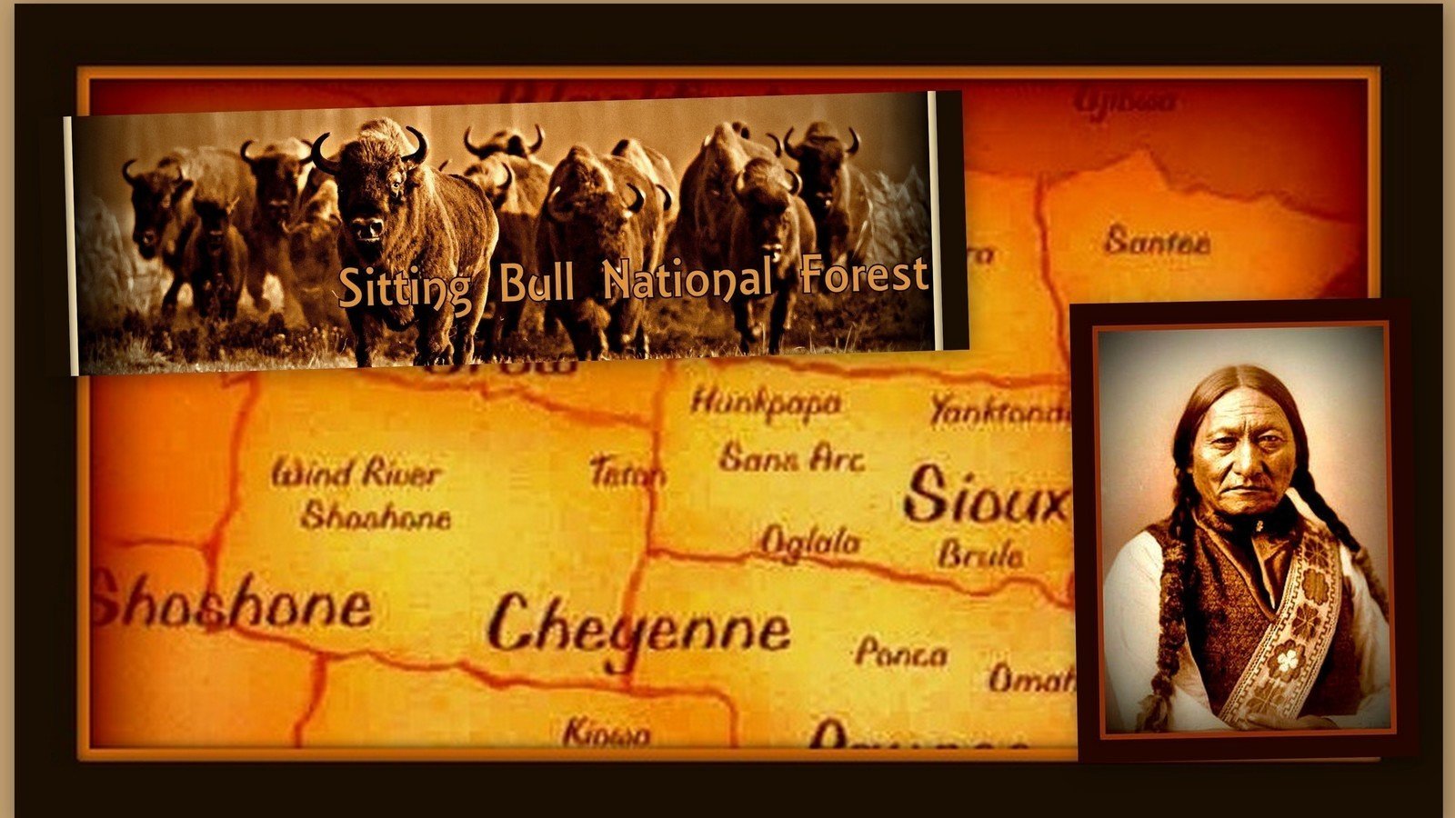 Petition update · Where is Sitting Bull Nat'l Forest? · Change.org