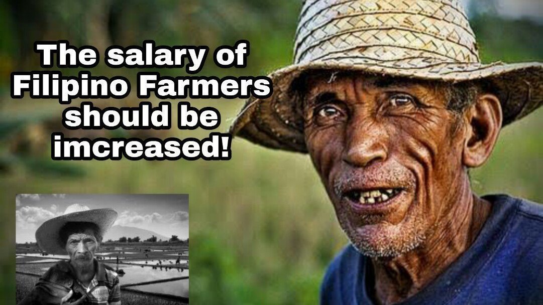 petition-the-salary-of-filipino-farmers-should-be-increased-change