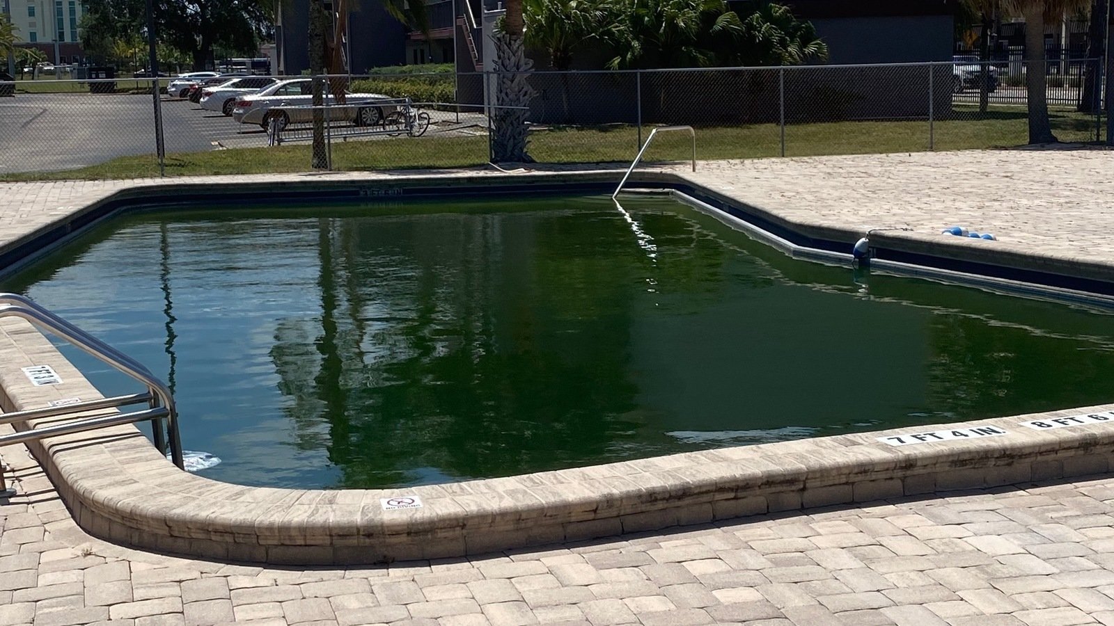 Petition · Revive the Southgate Pool ·