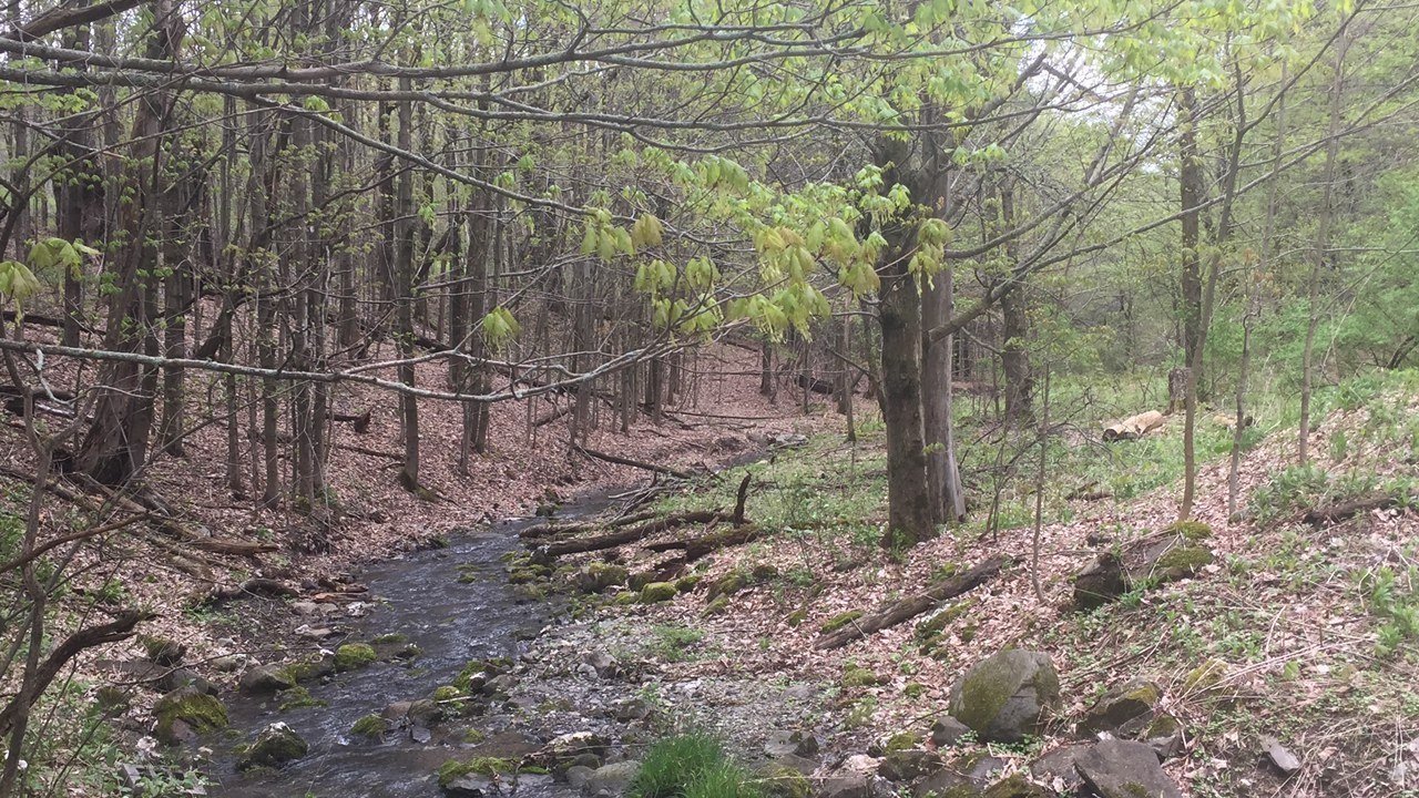 Petition · Shortterm rentals help keep Chatham vital, please do not