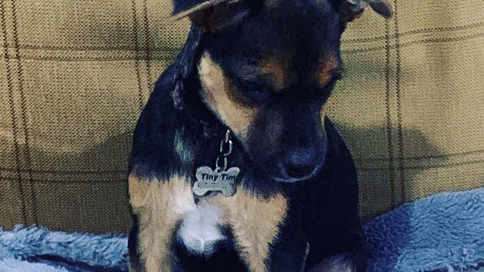 Petition · Preserve Columbus Park, in Hoboken NJ Stop the construction