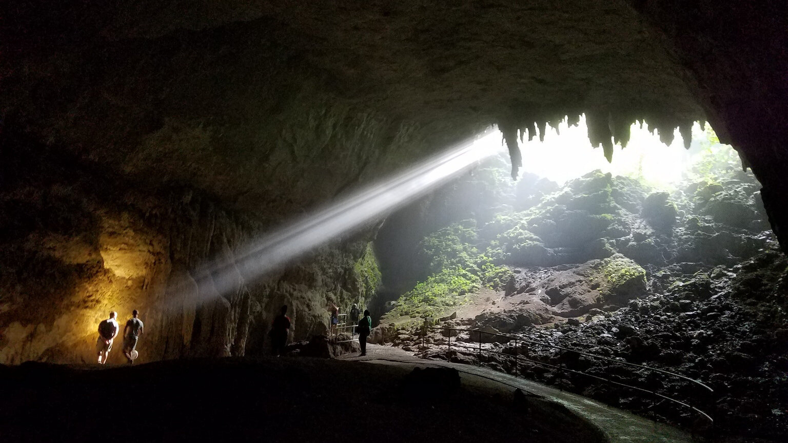 Petition · Let's Save Rio Camuy Cave Park - Puerto Rico · Change.org