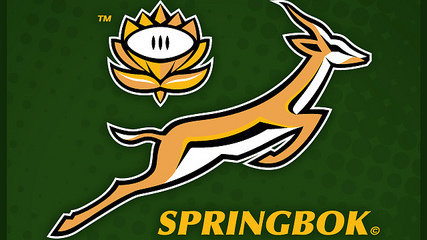 Petition · South African Rugby Union: Change of Head Coach - Springbok