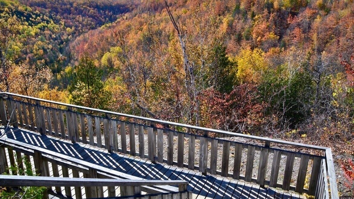 Petition · Reopen Devil's Glen Provincial Park Now! - Canada · Change.org