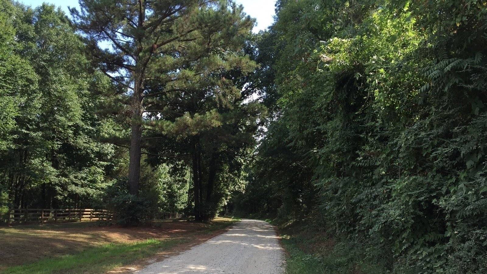 Petition · Limit business development in Jackson County residential
