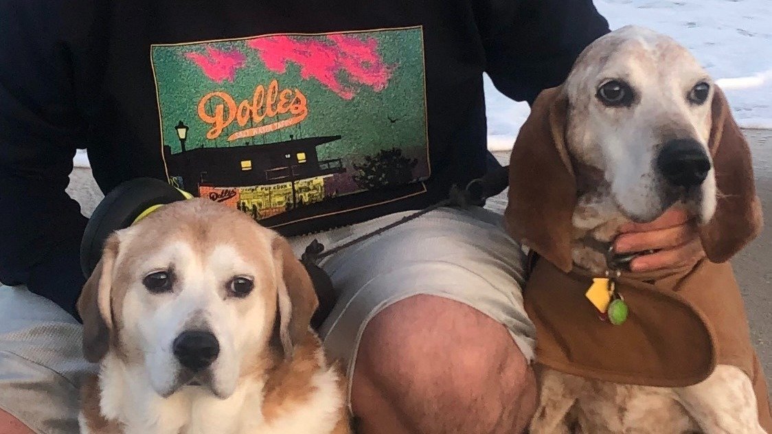 Petition · Swift Park Dog Park, Hockessin, DE Hockessin, United