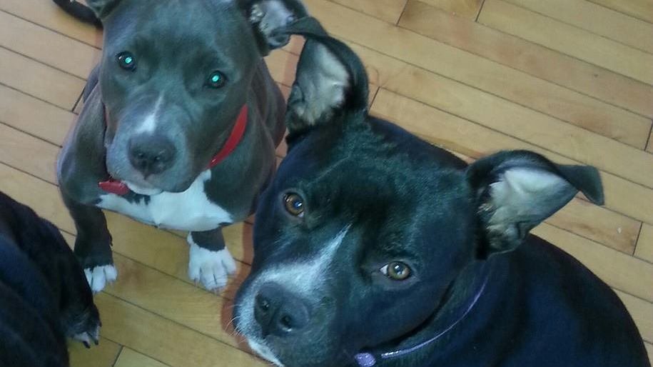 Petition Signez Canada Change Org