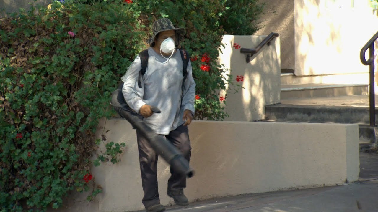 Petition · Ban GasPowered Leaf Blowers in San Francisco San