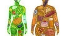 Petition · Are fast food restaurants or fast food eaters to blame foe ...