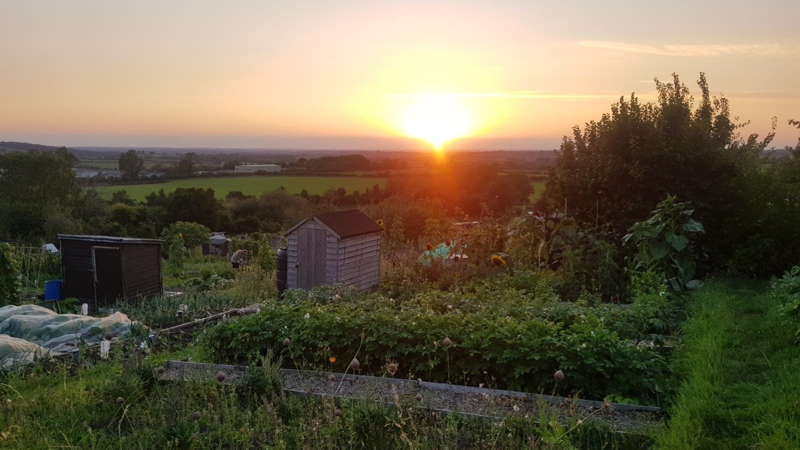 Petition · Support the preservation of Church Street Allotments