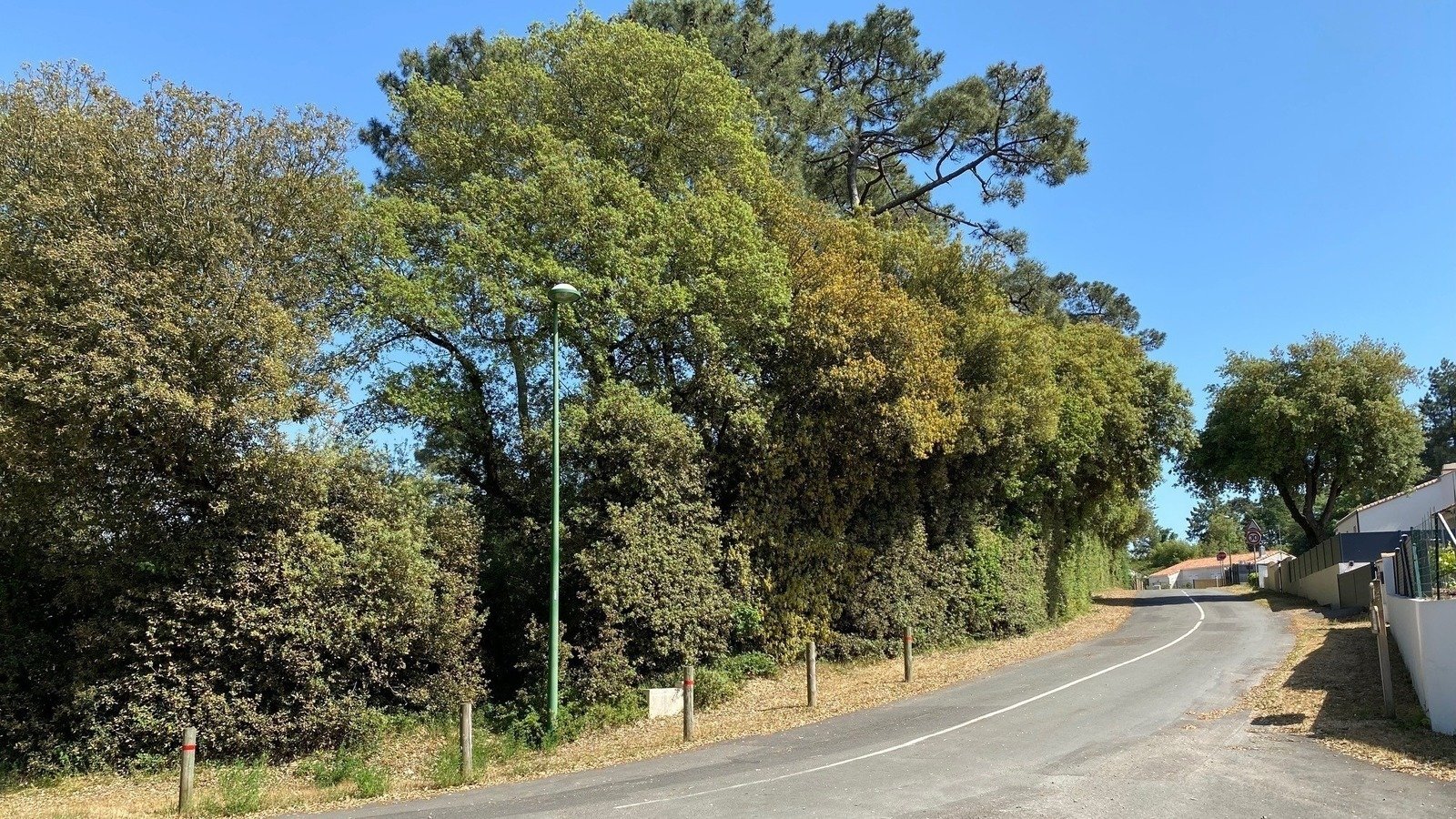 p-tition-halte-a-l-abattage-des-arbres-jard-sur-mer-france