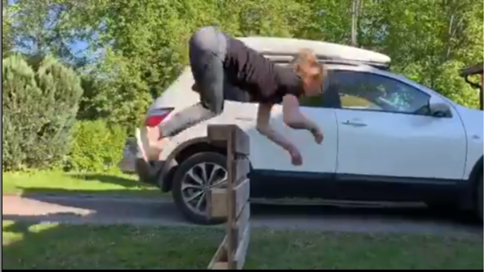 Petition · Ending horse girls United States ·