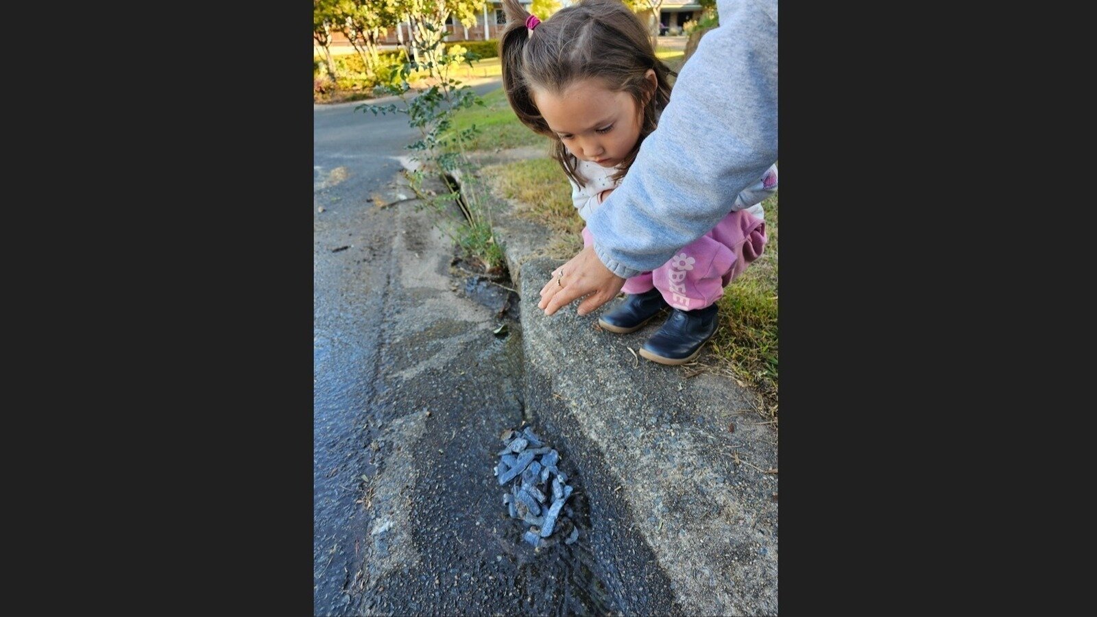 Petition · Phase Out Neurotoxic Lead Wheel Weights Australia ·