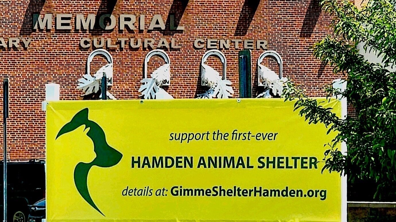 Petition · Proceed with the FirstEver Hamden (CT) Animal Shelter