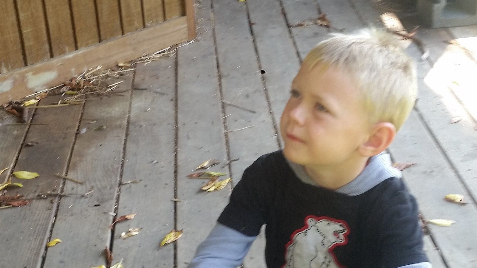 Petition · Justice for Xavier United States ·