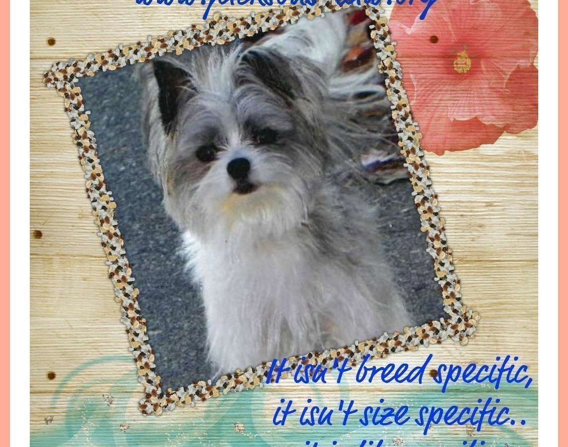 Petition · Help Support Jackson's Law Change the Laws Regarding Dogs