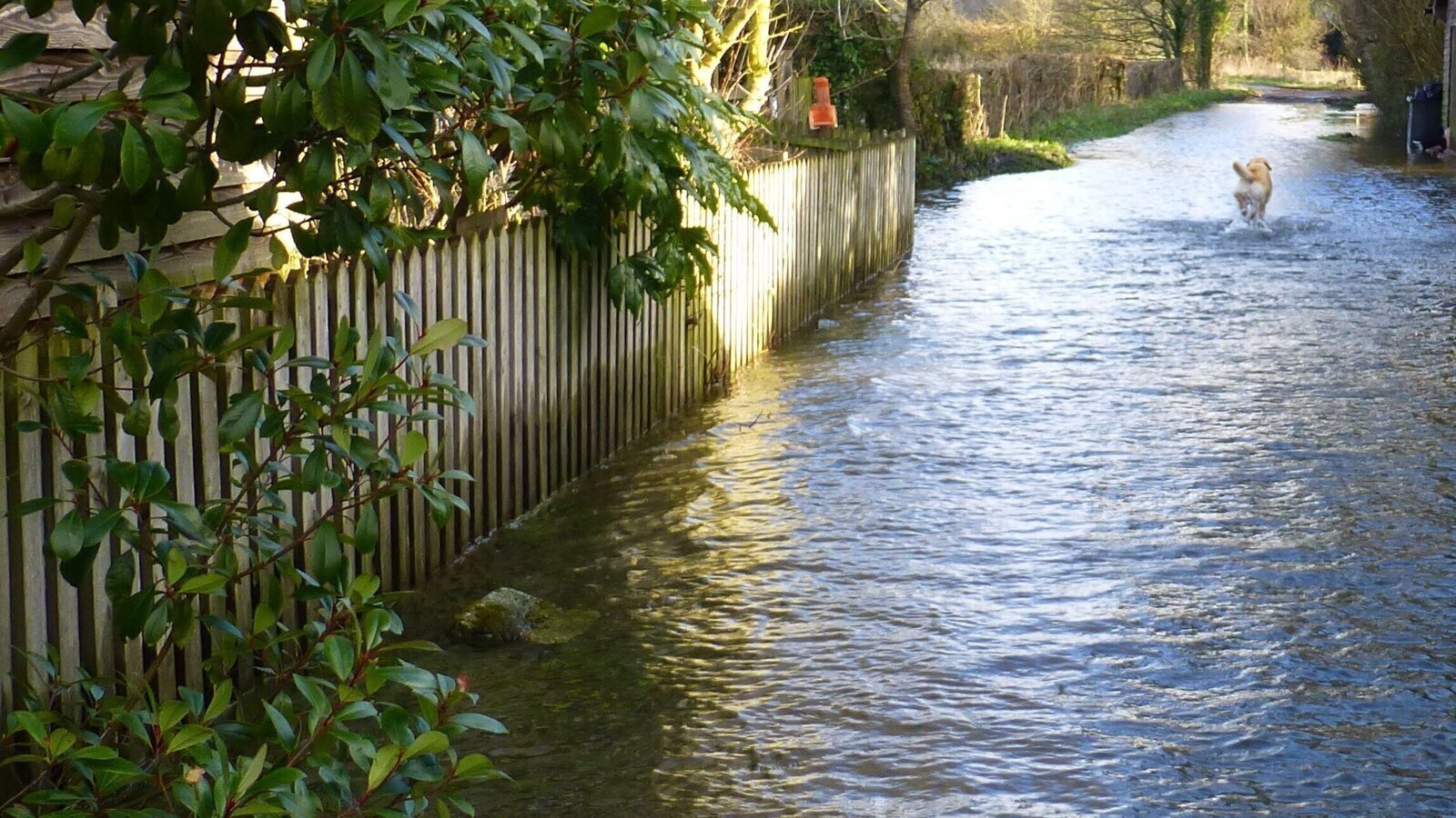 Petition · A new housing estate about to harm FIVE areas of special ...