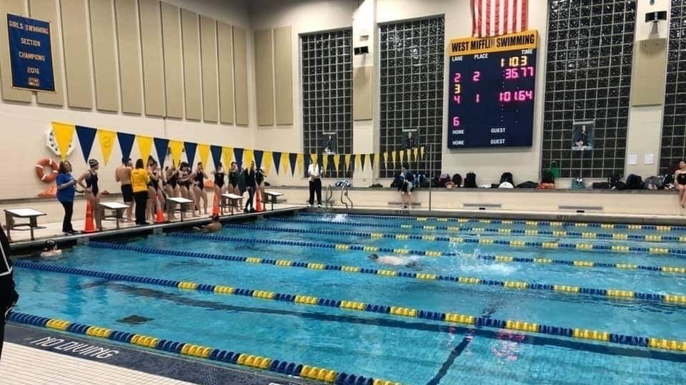 Topic · Swimmers ·