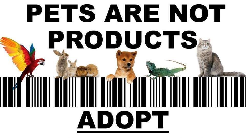 Petition · RURAL KING GAINESVILLE FL KEEP YOUR WORD TO HOLD ANIMAL