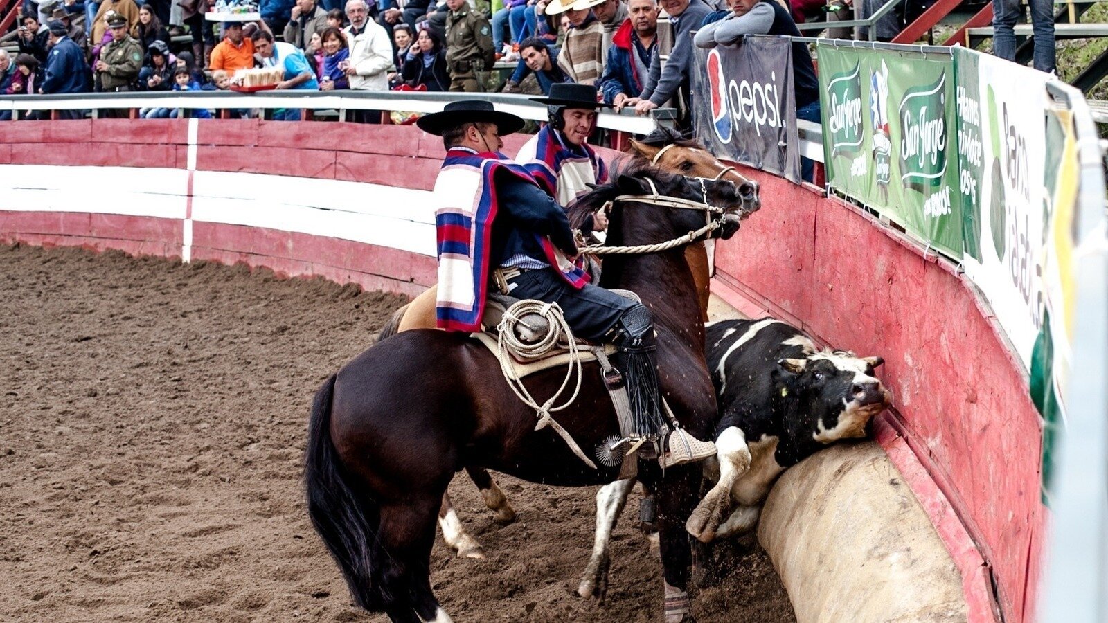 Chilean Rodeo Chart Petition update · ¡Detengamos al rodeo como el deporte nacional de ...