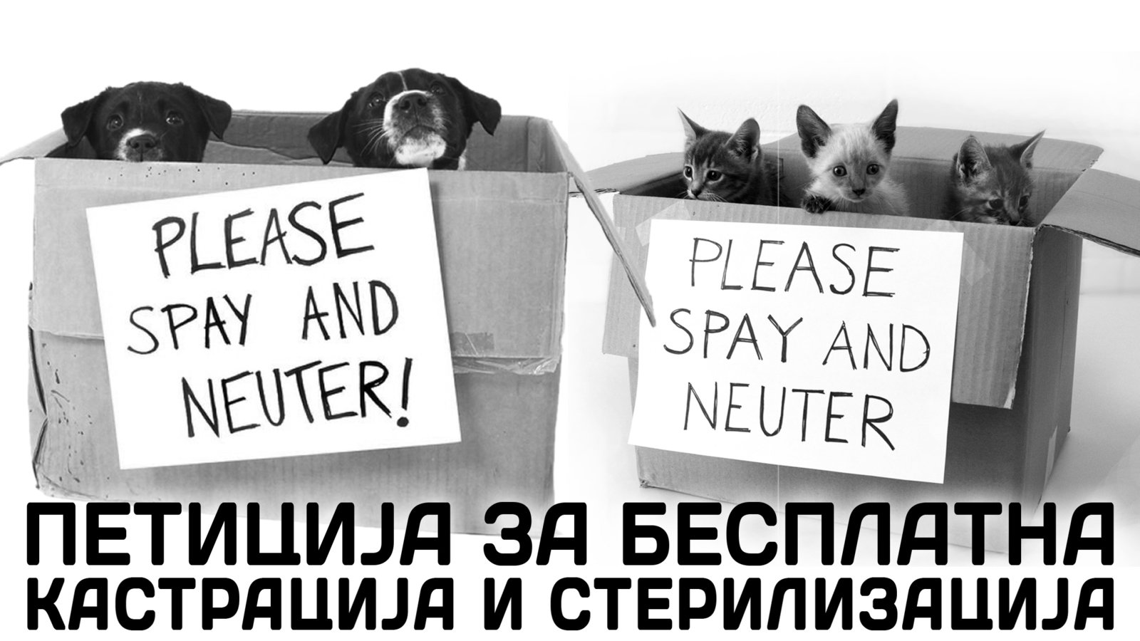 Petition · ЗА БЕСПЛАТНА КАСТРАЦИЈА И СТЕРИЛИЗАЦИЈА НА БЕЗДОМНИТЕ КУЧИЊА ...