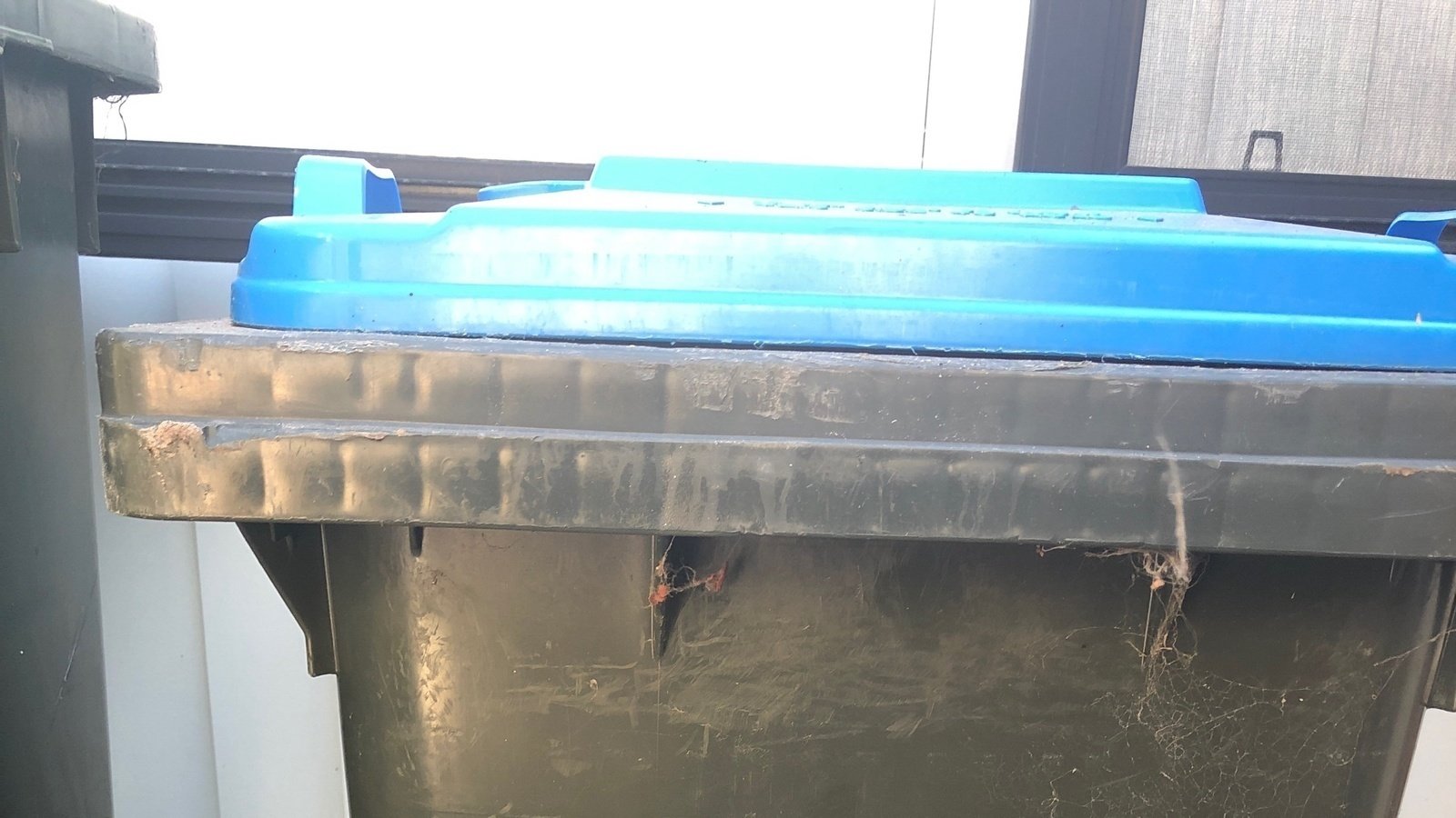 Petition · Weekly bin collection Victor harbor and surrounds