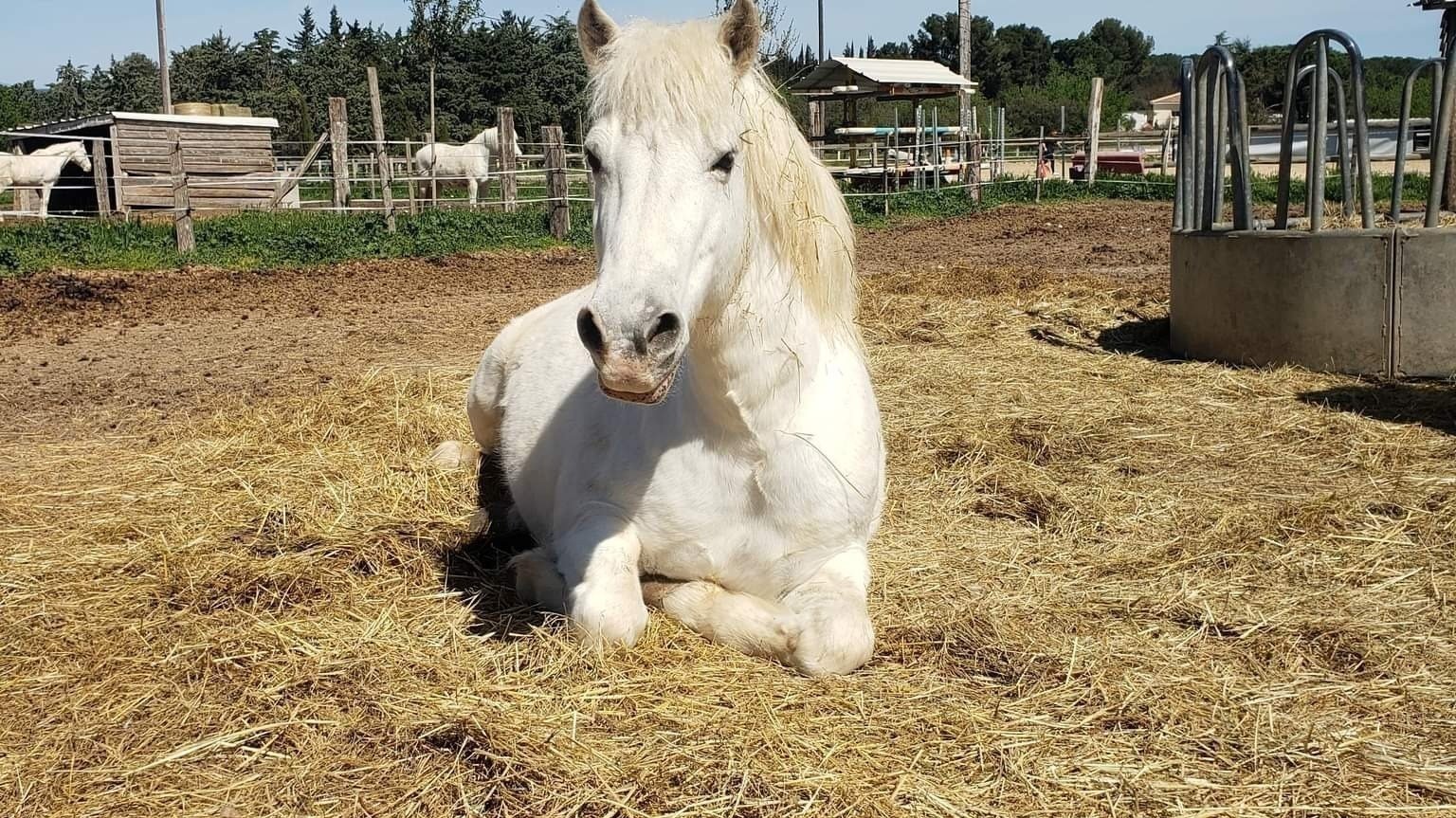 Calendrier Mensuel 2025, Calendrier Annuel De 12 Mois | Calendrier Quotidien De Janvier 2025 à