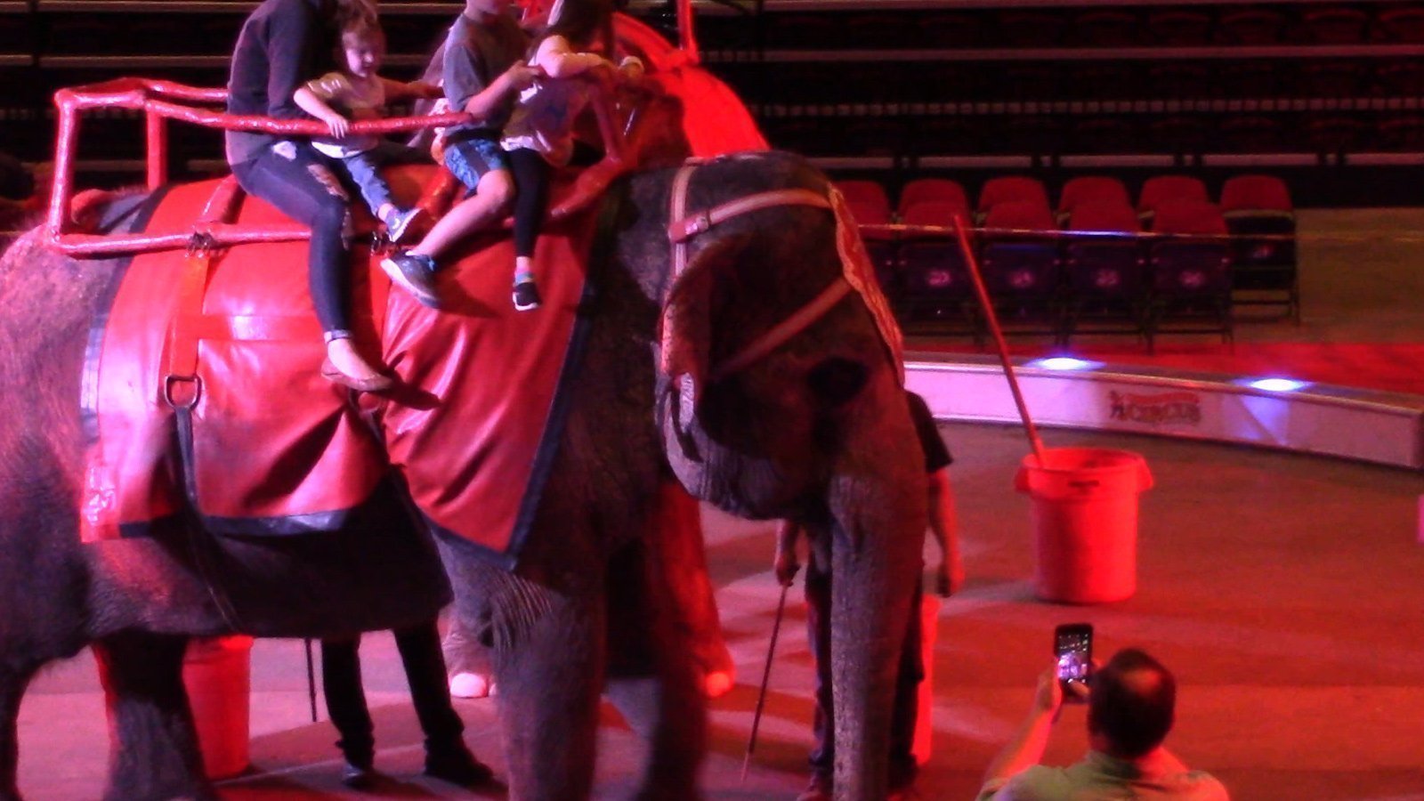 Petition · FWC Ban Elephant Rides In Florida United States ·