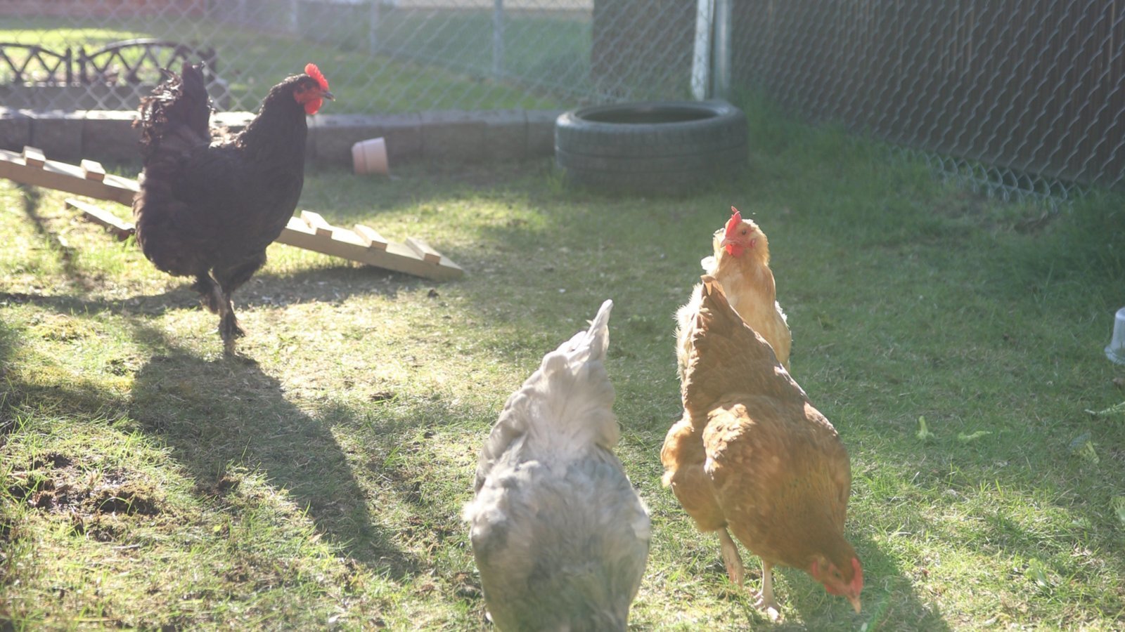 Petition · Increase Limit for the No. of Households that are Allowed