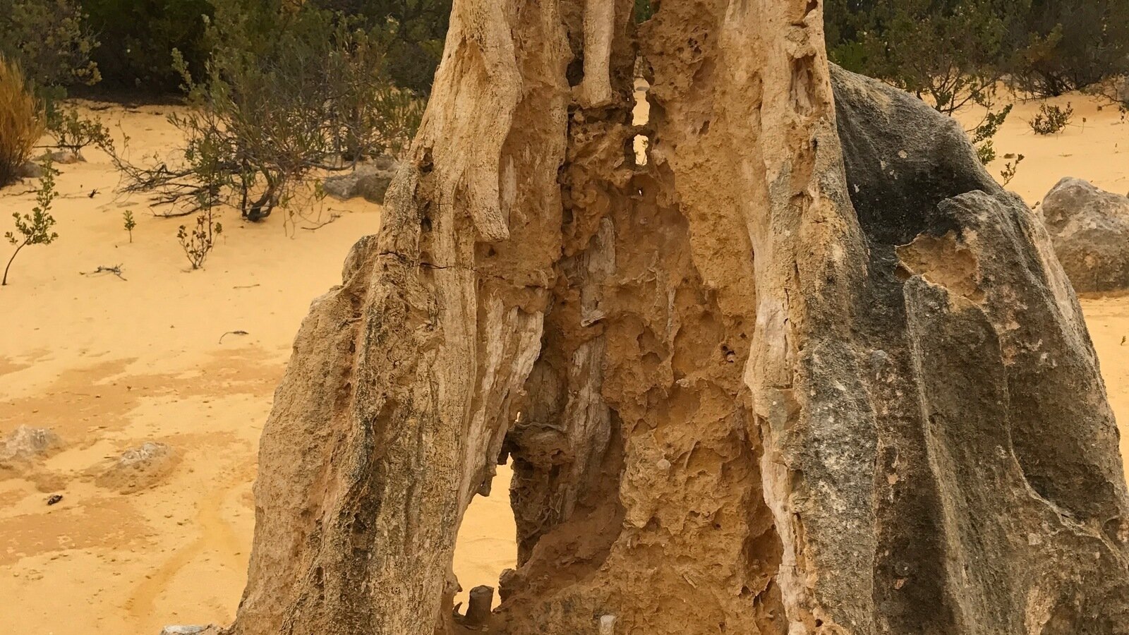 Pinnacle Rocks Perth Petition · Stop Vehicles Driving through the Pinnacle Desert within the ...