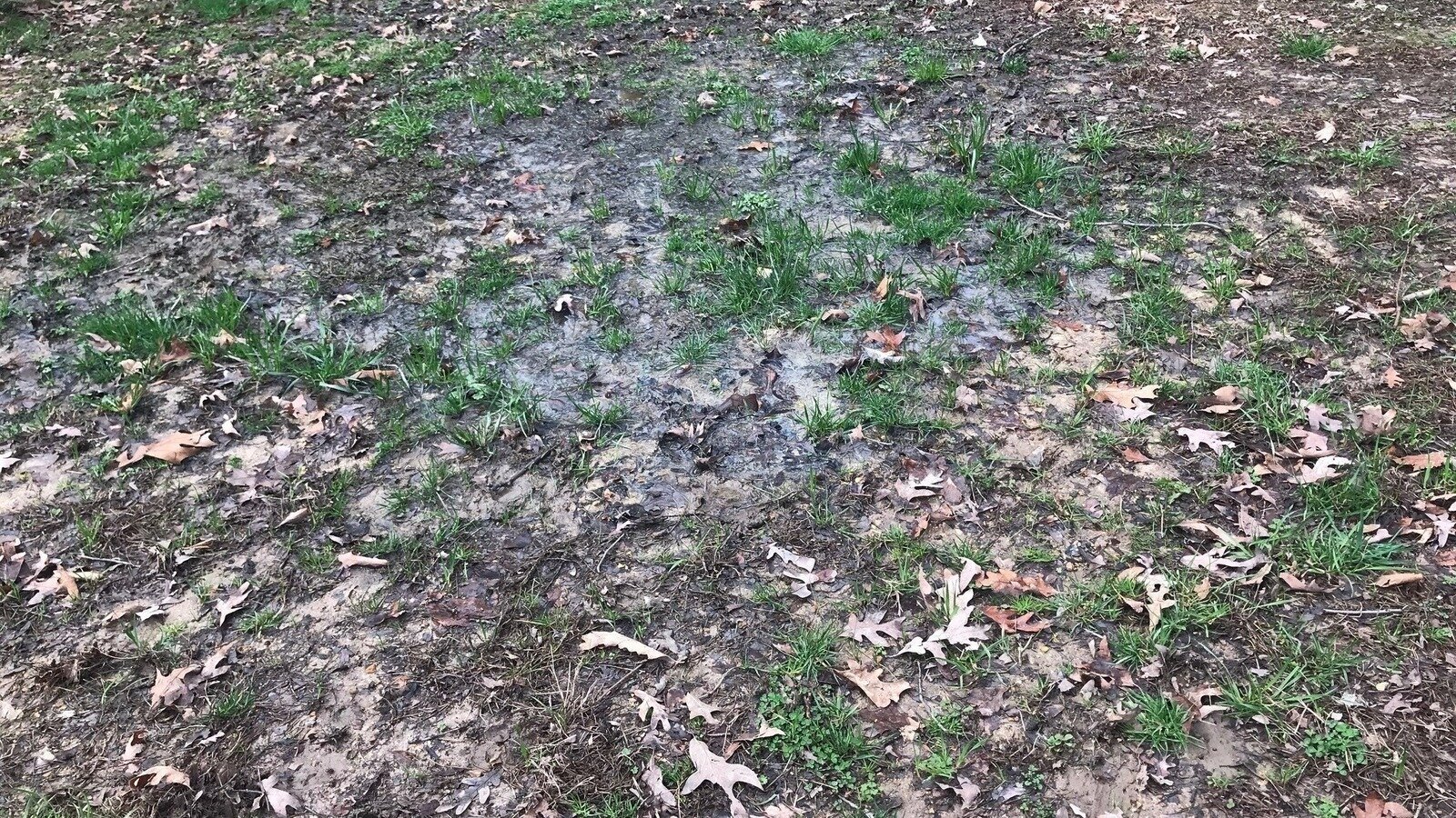 Petition · Time to End the Ban on Sewer in Bradley County, TN United