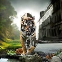 ChangeOrg profile picture for @predator