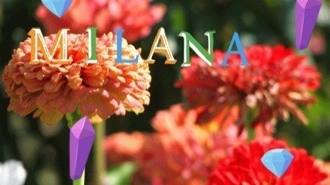 Petition · Tribute to Milana Li - United States · Change.org