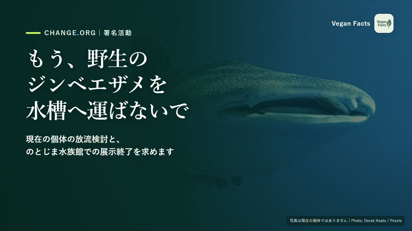 オンライン署名 · もうジンベエザメを水槽へ運ばないで｜Stop Bringing