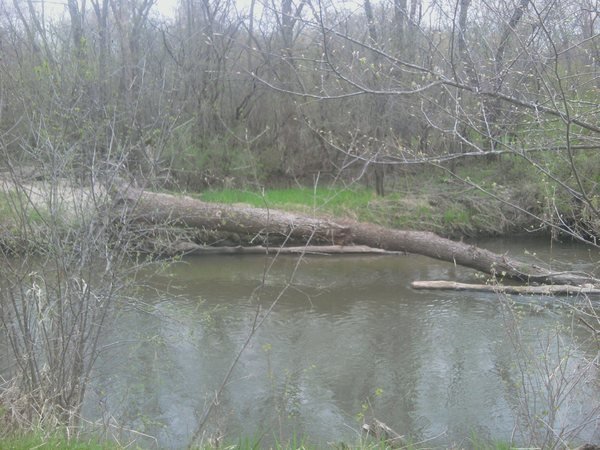 Petition To Raise The Debt Ceiling Without Conditions Change Org