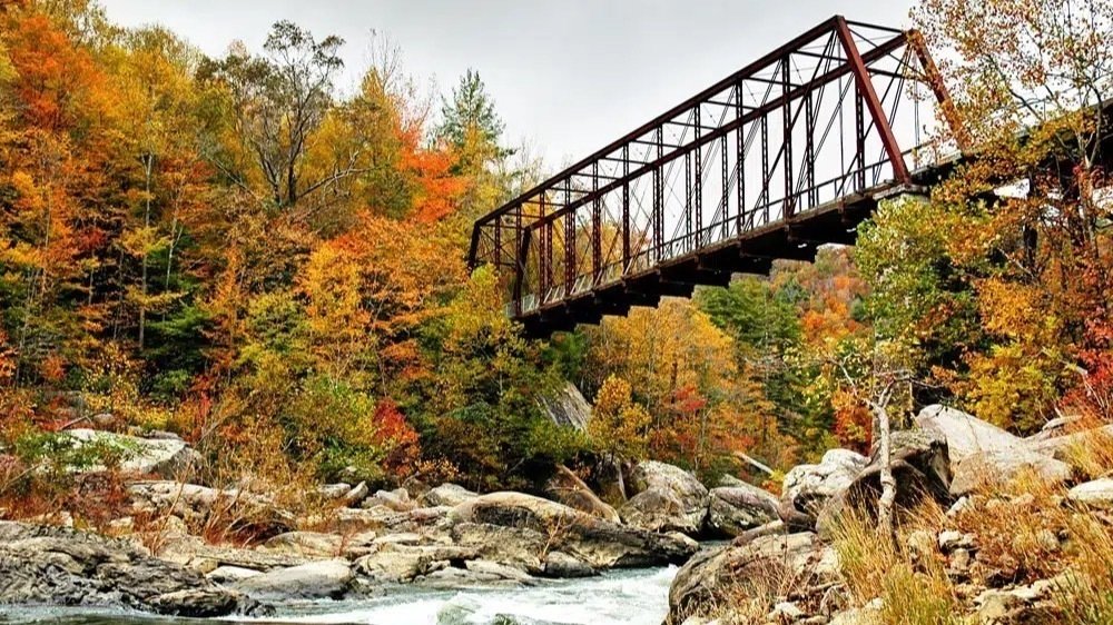 Petition · Save the historic O&W RAILROAD BRIDGE Big South Fork River